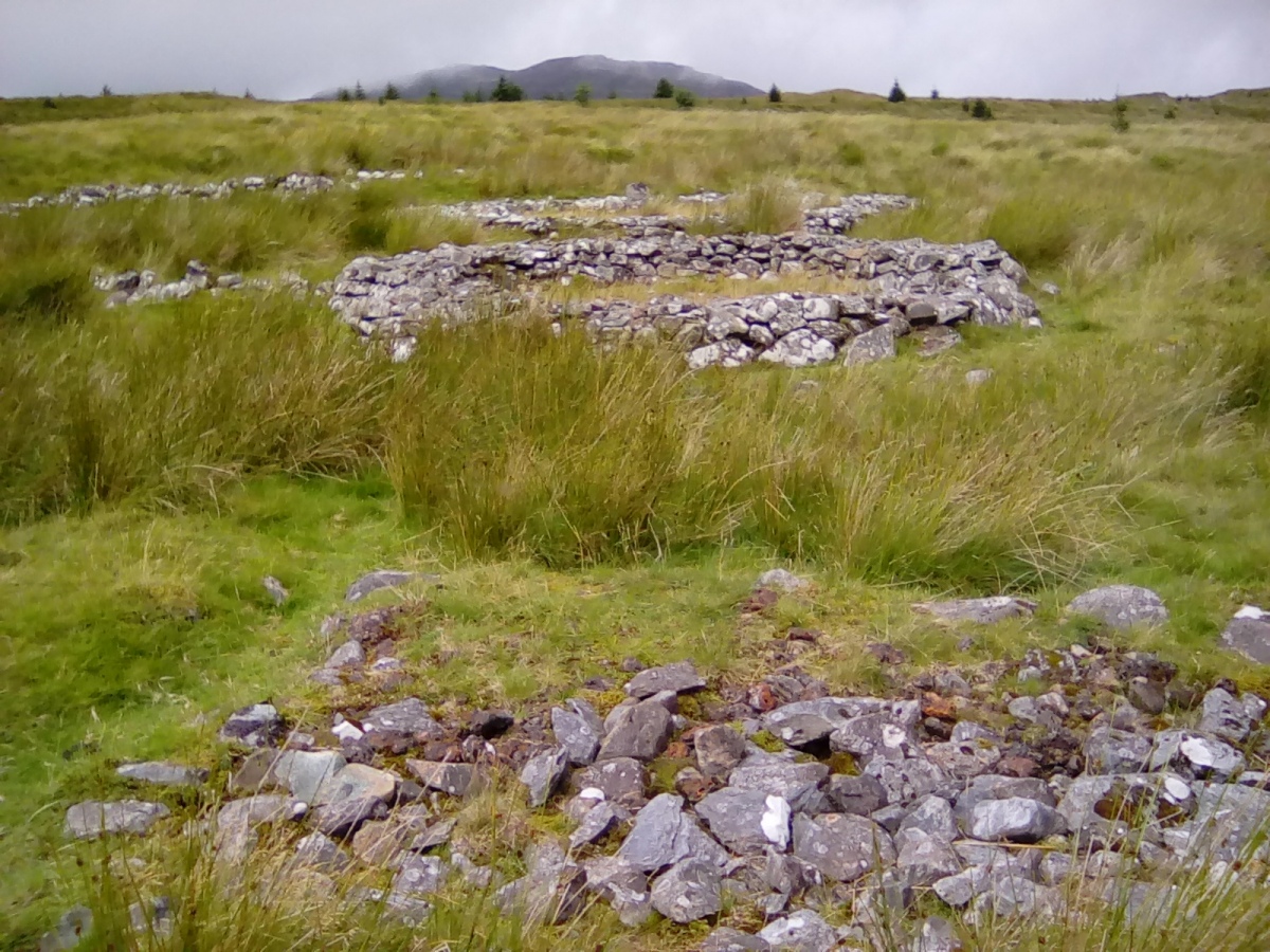 Crawcwellt Hut Circle Settlement North