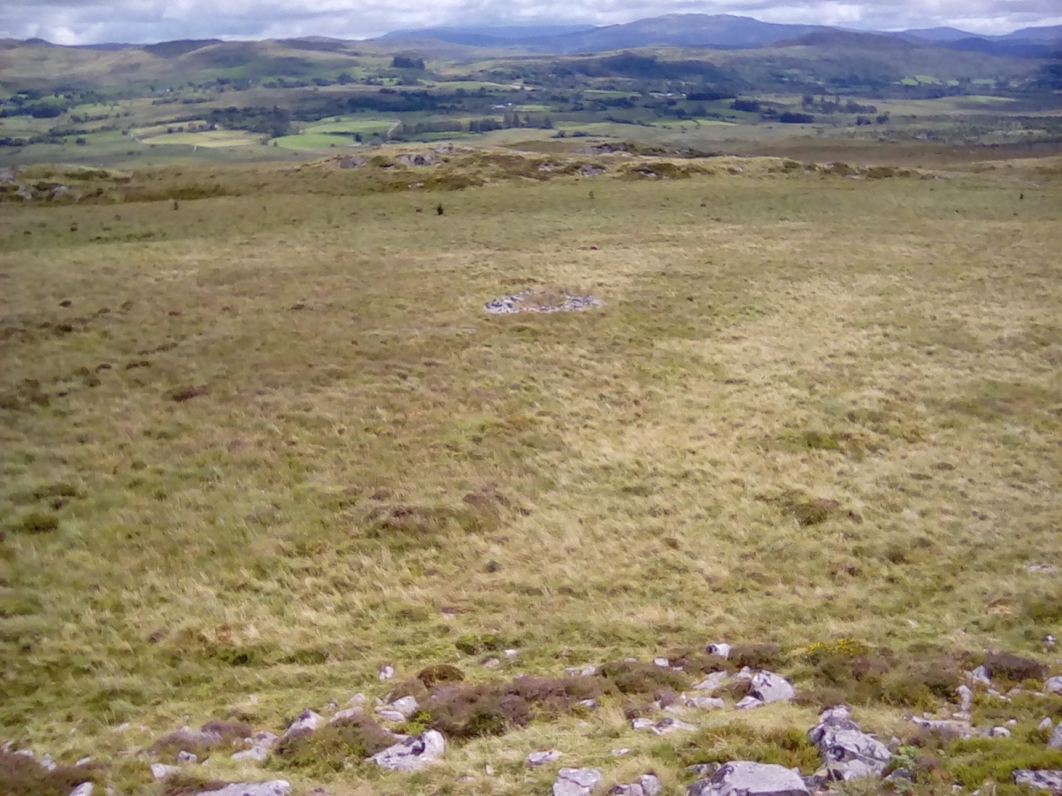 Cefn Clawdd near Ffridd Lwyd