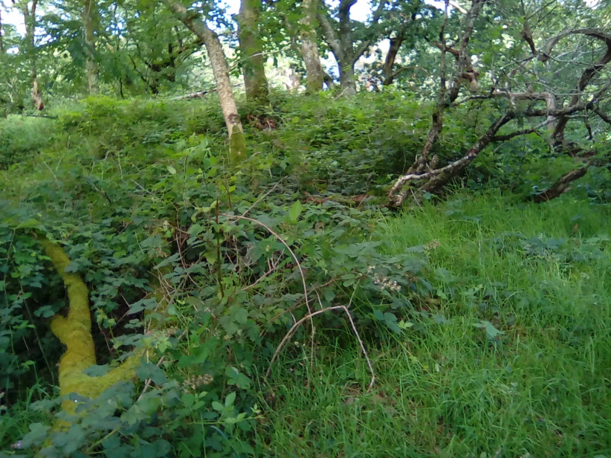 Coed Pen Y Bryn Defended Settlement