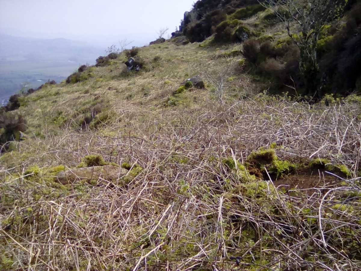 View across the possible entrance to the hut Circle.