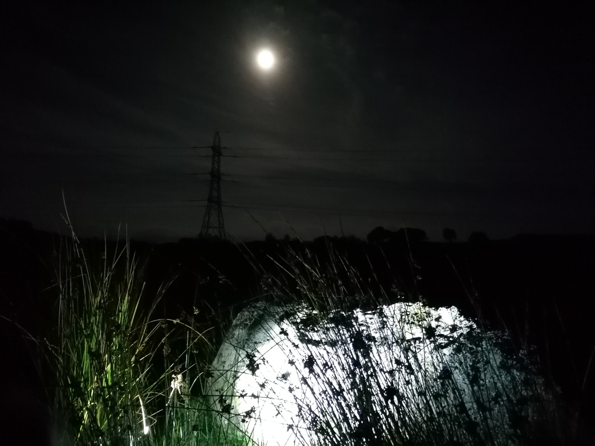 Full moon visit, without using a torch I found that although the standing stone itself is invisible due to the thin side facing the path, the fallen outlier reflects the moonlight well, and then the standing stone is visible when you get on the moonlit side of it