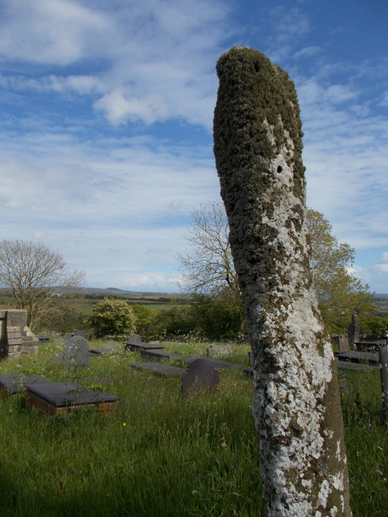 It has rather a nice curve to it and lots of lovely lichen.