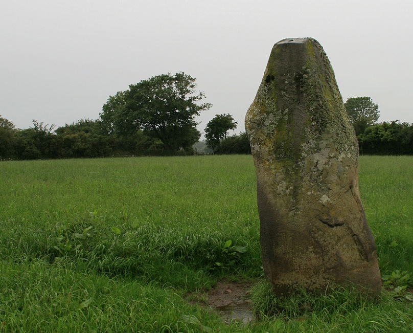 At 2.6 meters tall it's the biggest in the area