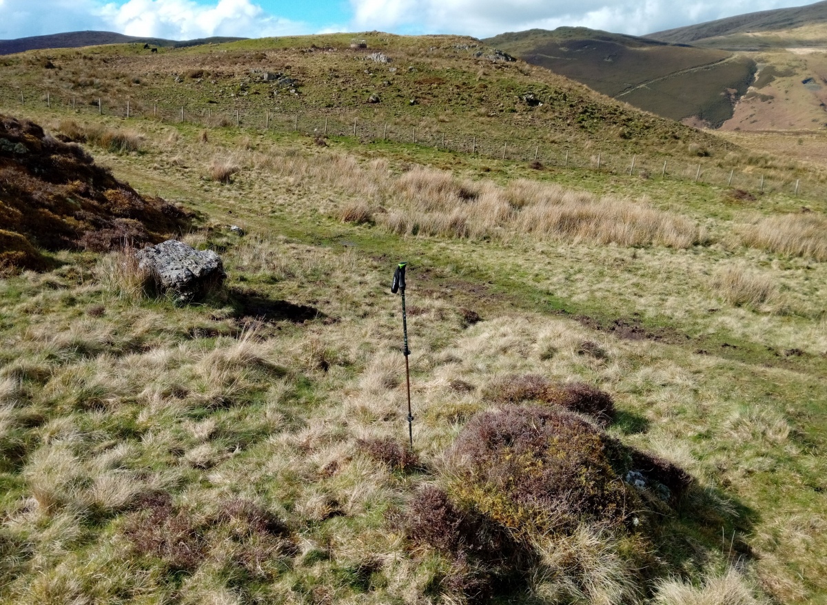 Llyn Barfog Stone