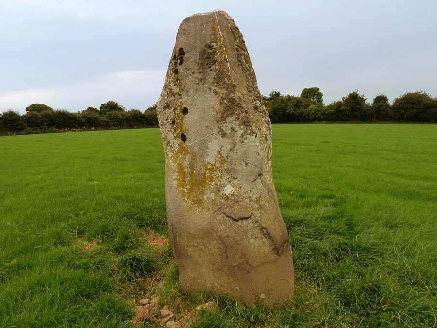 Betws Fawr Standing Stone.