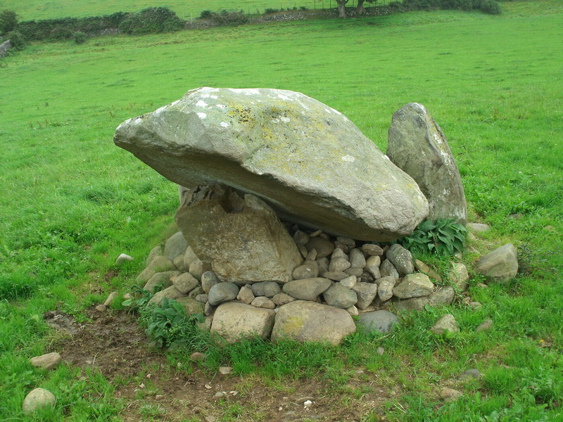 Penarth chambered cairn, It could/should be rebuilt as all the main stones are there.