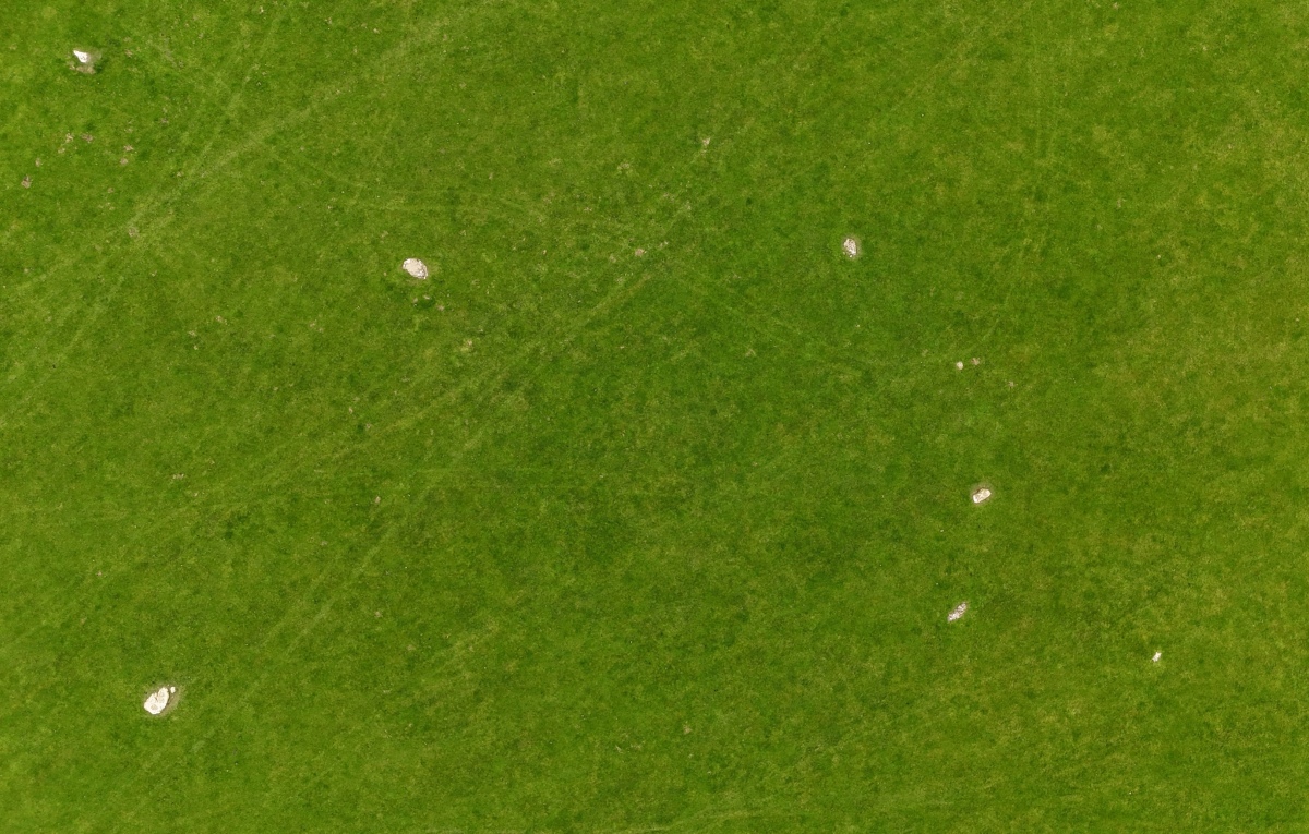 Gwyddfryniau stone circle remnants, only 5 stones remaining of a total of possibly 12 or 13.