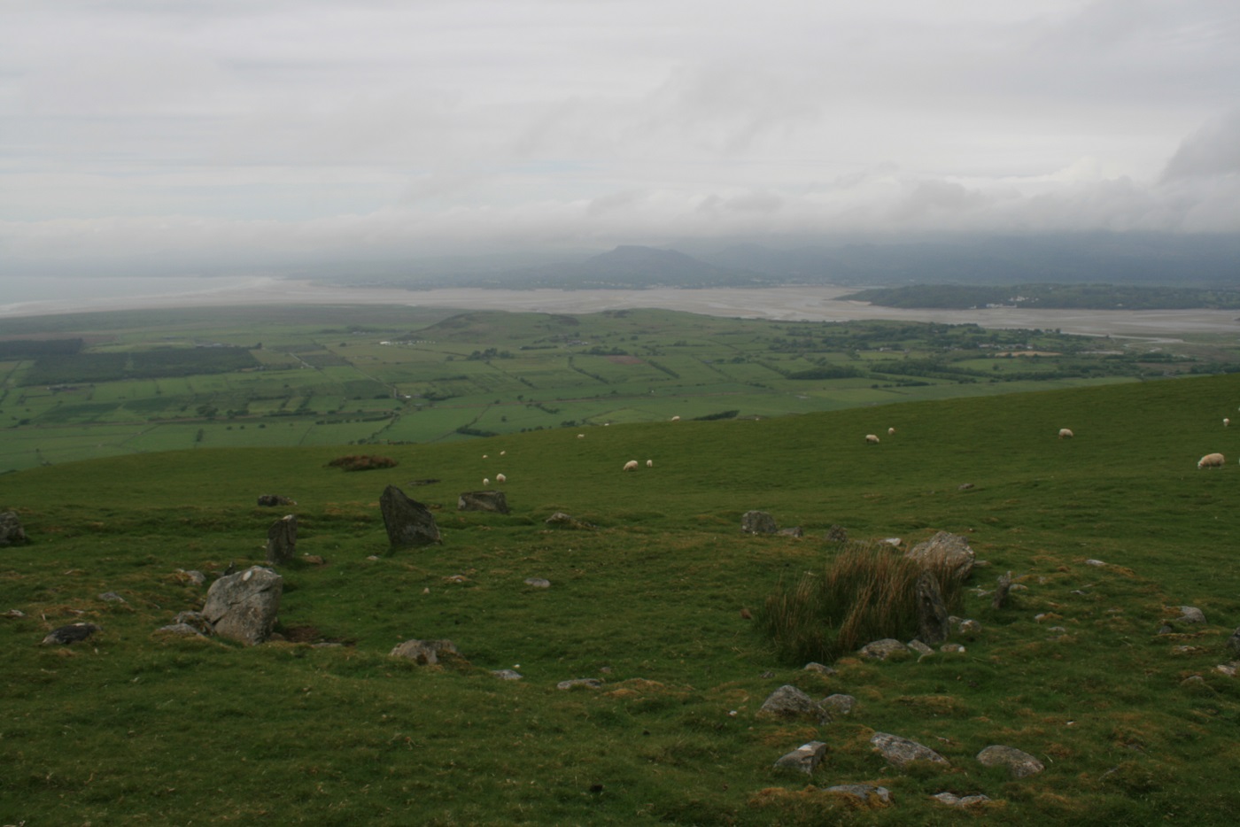 Moel y Gest across Tremadoc bay