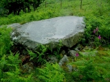 Bron Y Foel Recumbent Stone - PID:27419