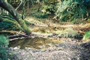 Tyn-y-parc Holy Well - PID:17905