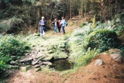 Tyn-y-parc Holy Well - PID:17906