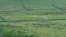 Carneddau Hengwm