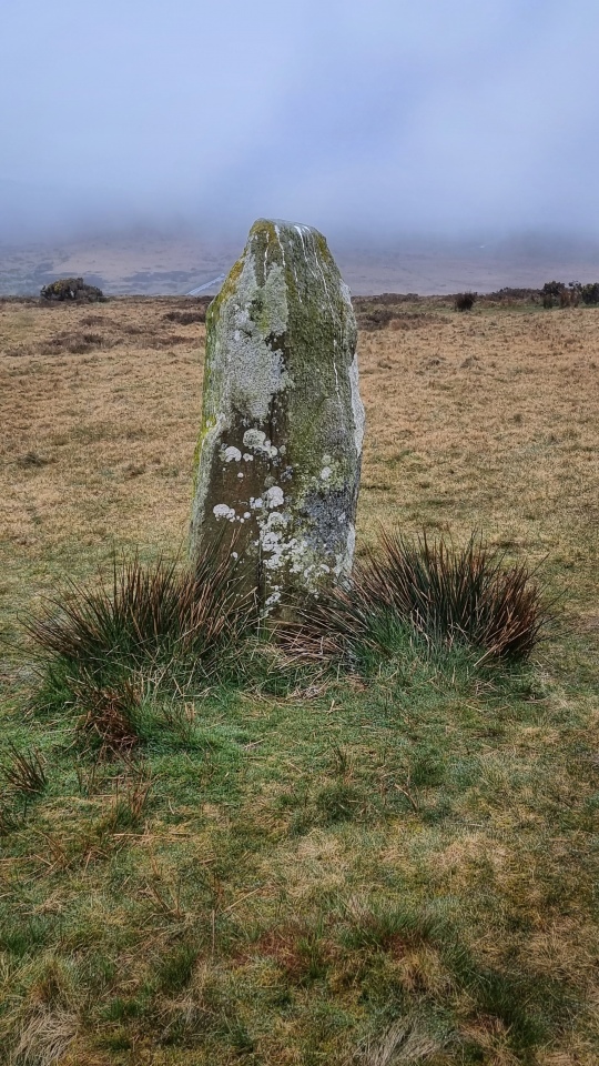 The only 'standing' standing stone at Waun Mawn NE.  Too much clag really to show the other two laying stones or the location, so just a detailed photo one of this stone  