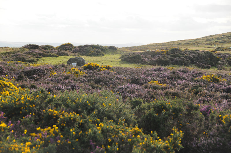 Glyn Gath Barrow