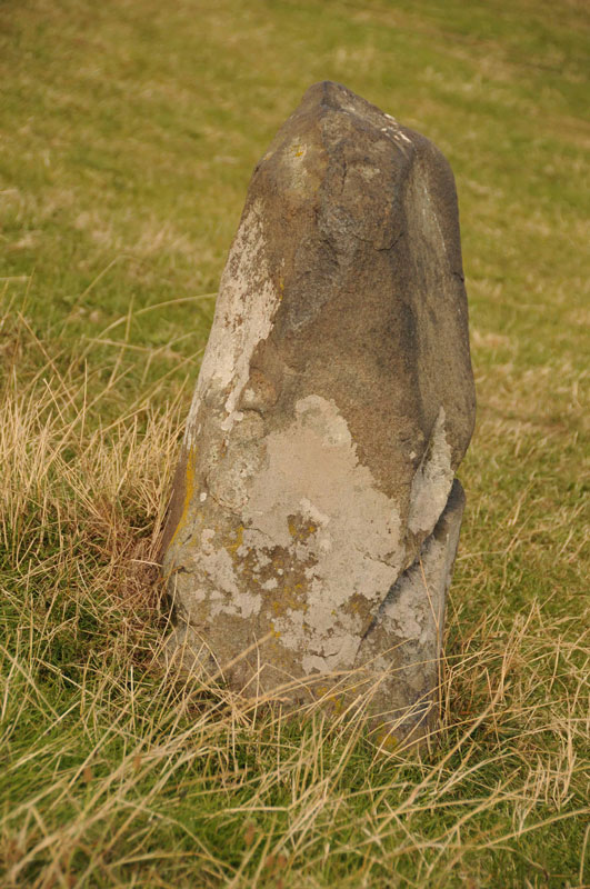 Close up of the stone nearest to the sea near St Non's Chapel.