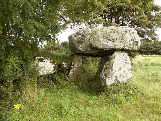 View showing the chamber and stones in the hedgebank thought to be a second capstone and uprights forming the original passage entrance.