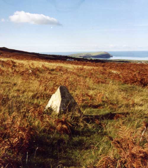 The standing stone on the northern slopes of Carn Ingli Mountain at SN063376.