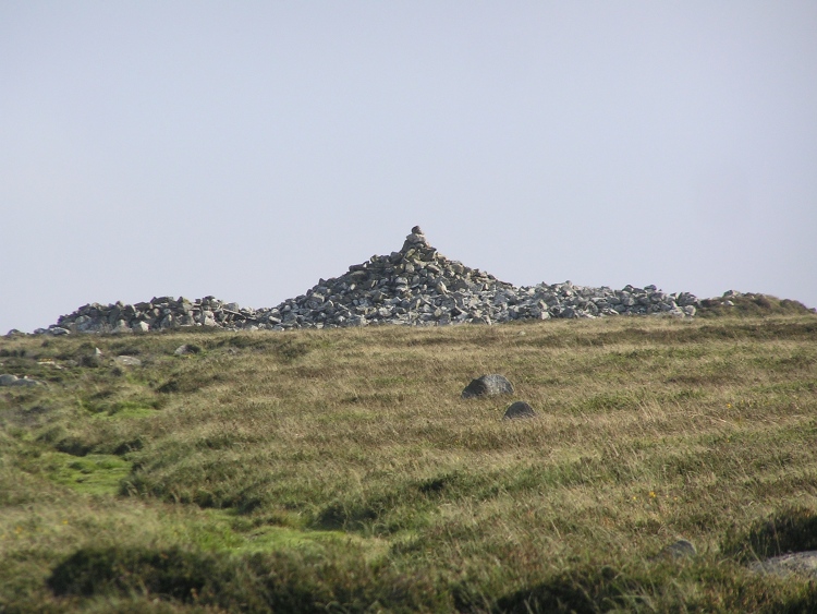  Carn Briw, from the northern slopes of Mynydd Ingli, on which the wonderful Carn Ingli 'sits' - or should that be 'is enthroned'?

COFLEIN refers to this as simply 