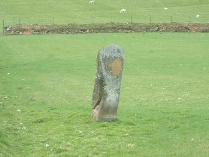 SN 1114 3035
A 9'9" high stone with a chisel-shaped top. (Perhaps this should be called Maen Gwdihw - or am I alone in seeing a resemblance to an owl!?)