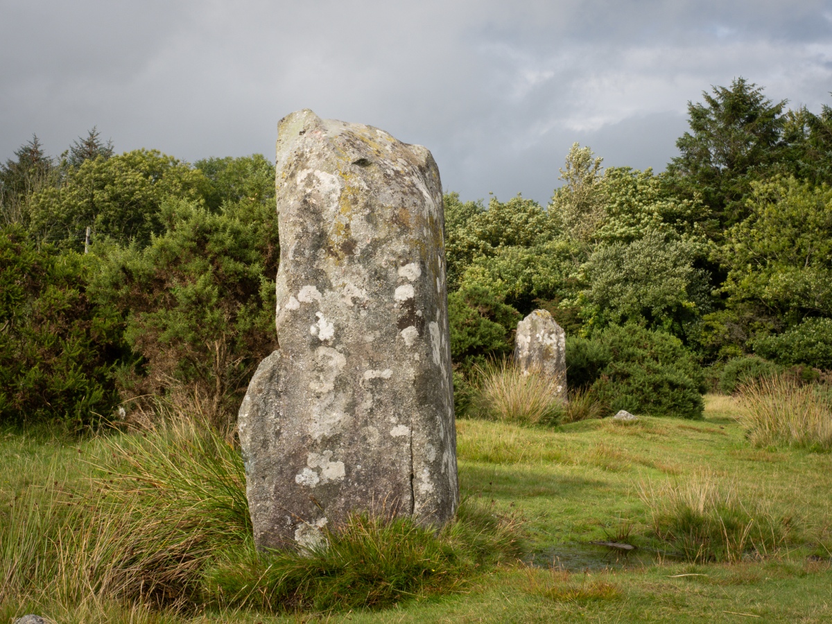 The two outliers of Gors Fawr stone circle 