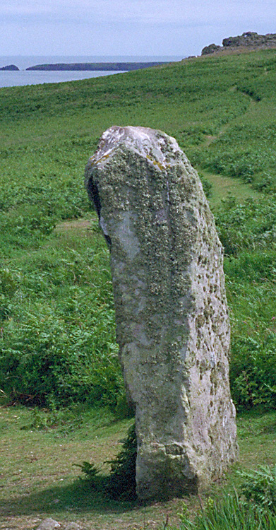 Skomer Stone