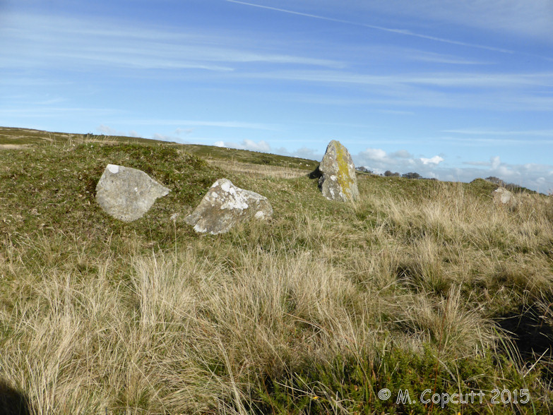 nearby the stone pair is a linear bank and ditch, which incorporates many large stones, some of which extend beyond the height of the bank. 

Just a boundary or something more significant? 