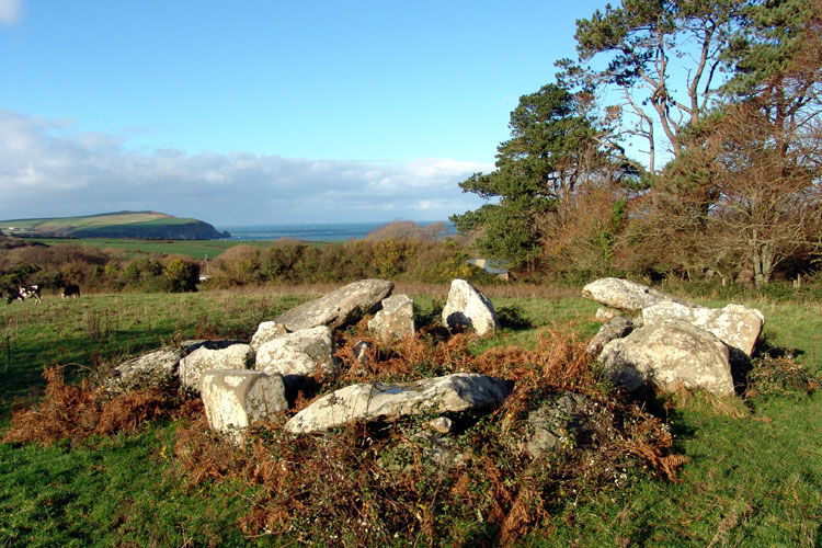 Also known as Cerrig Atgof, this unusual coastal tomb stands between Dinas Head and the Nevern River, at around 46m AOD. Affinities with tombs in Ireland and Scotland have been noted, and it has been suggested that architectural influences may have been transmitted along Irish Sea trade routes (Castleden, 1992). Daniel (1950) includes the tomb within his Irish Sea cultural province as a late innov