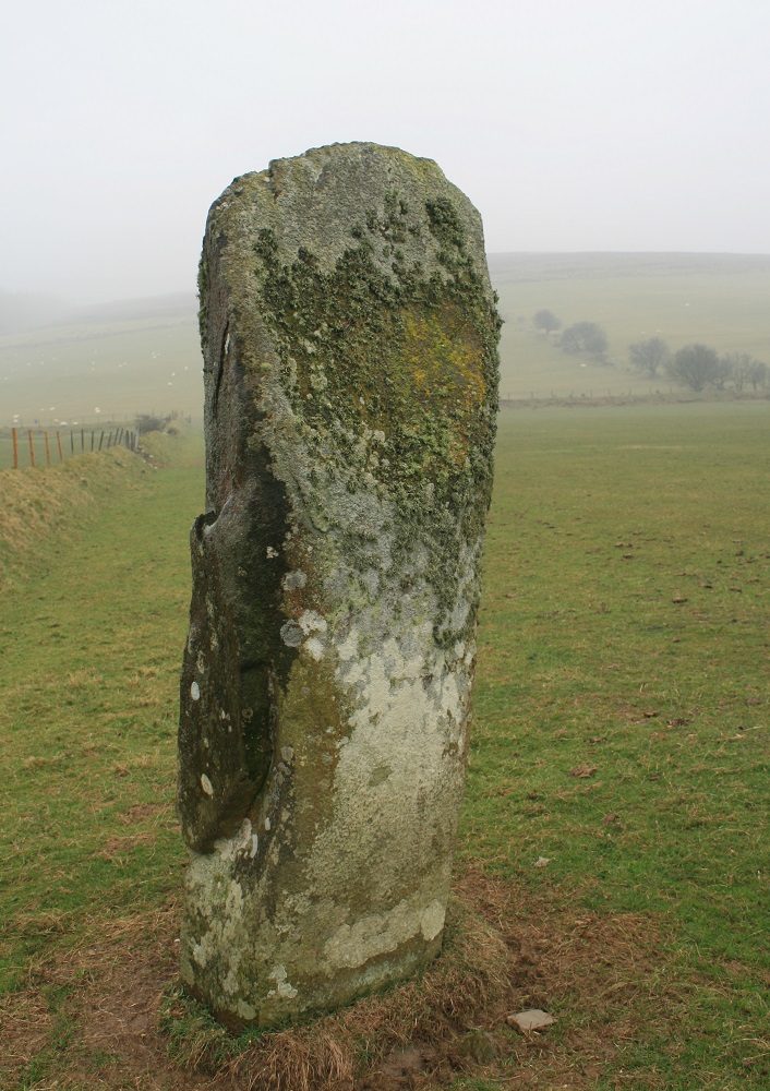 A stone a standing, strange protuberance on it's left side.