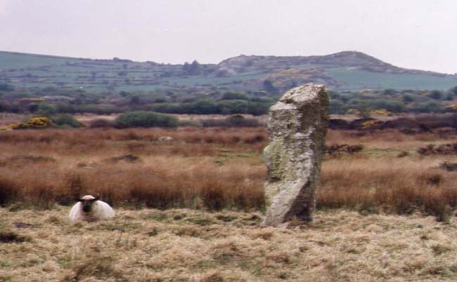 Ffynnondruidion standing stone