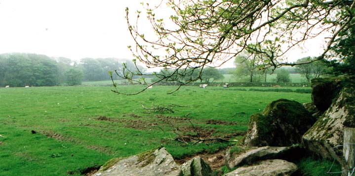 The field at Glynsaithmaen where two stone circles linked by an avenue once stood according to antiquarians. Many large boulders now lie along the edge of the field close to the road.