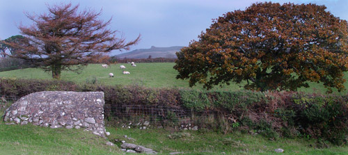 Llanllawer well side-on, Garn Fawr (old volcanic cone that dominates the north Pembrokeshire skyline) in background.