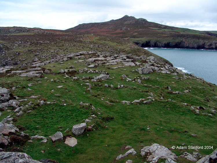 Inside the enclosure with the seven, possibly eight circular hut remains clearly visible in the foreground. The ramparts are obscured by the rock outcrop, which runs parallel to them (left to right) in the middle of this picture. Coetan Arthur is just beyond another rock outcrop, below the horizon to the left and the double dolmen of Carn Llidi is hard to spot on the slopes in the distance. Betwee