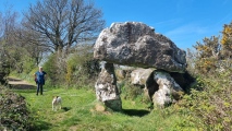 The Hanging Stone (Pembrokeshire) - PID:239763