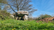 The Hanging Stone (Pembrokeshire) - PID:239762
