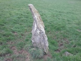 Trewalter Llwyd Standing Stone - PID:237764