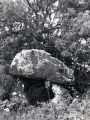 The Hanging Stone (Pembrokeshire) - PID:136572