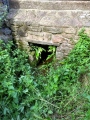 St Margaret's Well (Pembrokeshire) - PID:186377