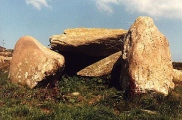 Trellyffaint Neolithic Burial Chamber - PID:304