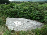 Eithbed Tombs - PID:113025