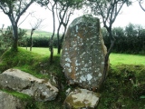 Puncheston Stone - PID:113091
