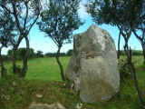 Puncheston Stone - PID:113092