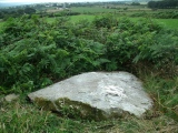 Eithbed Tombs - PID:113024