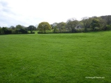 Llanychaer Earthwork - PID:187767