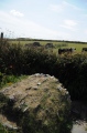 St Non's Well (Pembrokeshire) - PID:122838