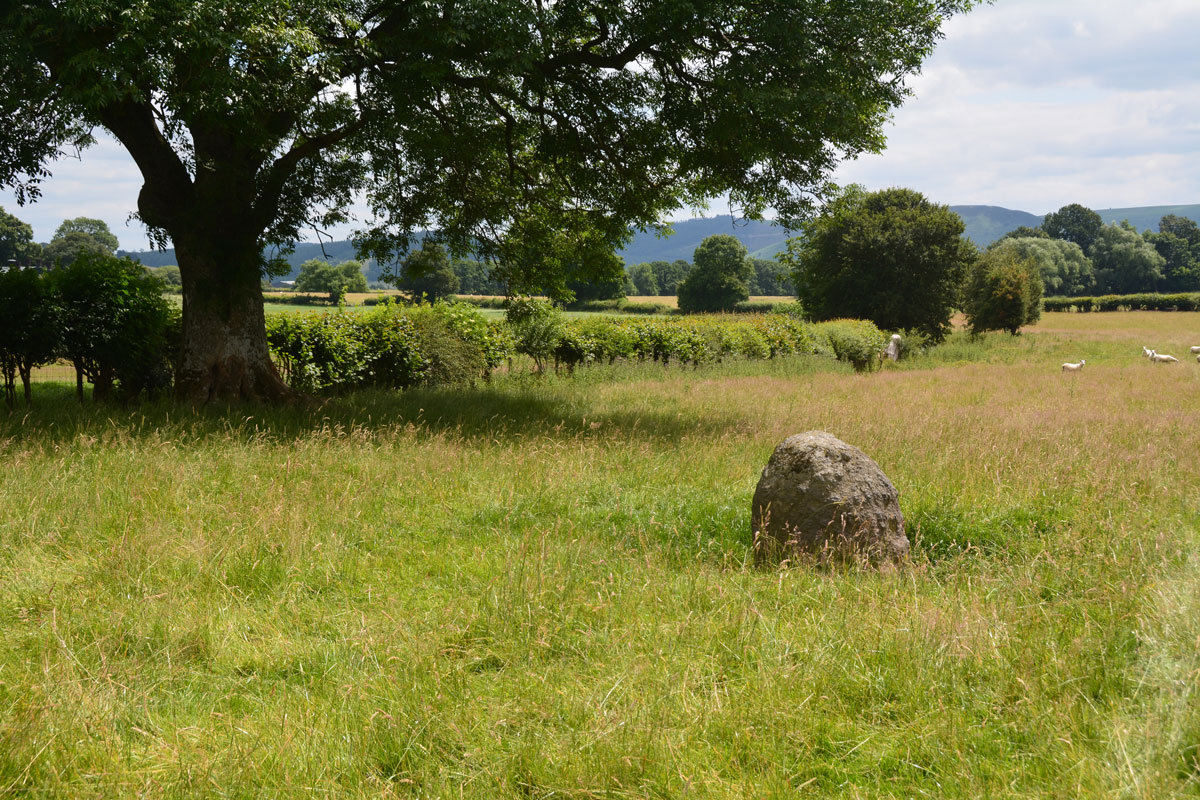 Getting closer to this standing stone, looking SSE along the field boundary. The stone sits in a lush meadow of pasture, in a very pretty location. Kinnerton Castle Mound lies not far to the north. 