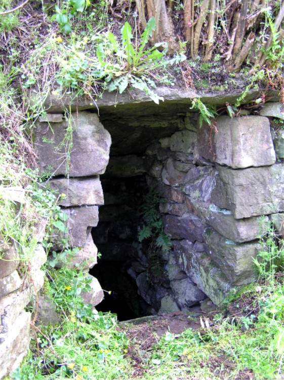 St Cadfan's Well