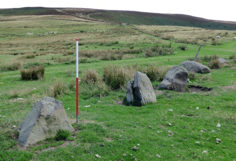 Stone 5 measures 0.63m long by 0.30m wide and stands up to 0.48m above the ground surface. View from north (Scale 1m).