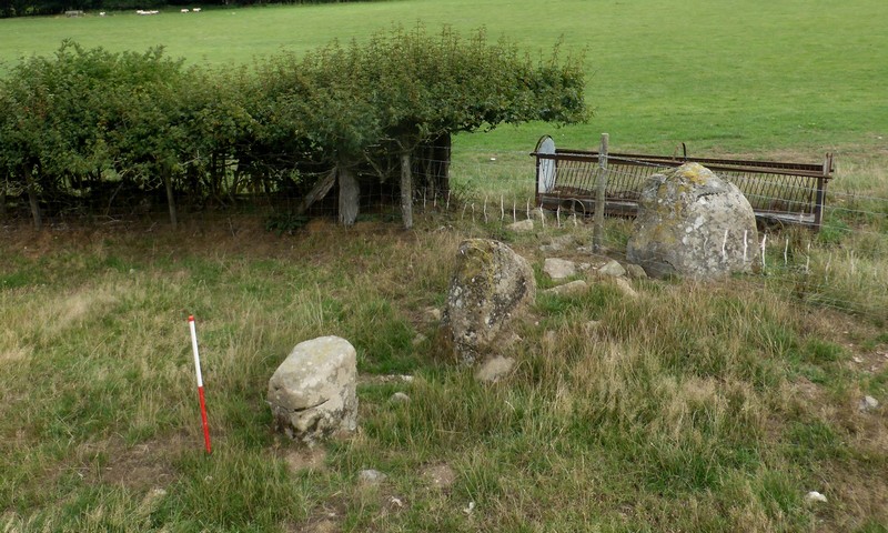 View from above and south west (Scale 1m). There is a cluster of smaller rocks in the vicinity of the standing stones.  These could be the result of historic field clearance or represent exposed cairn material.