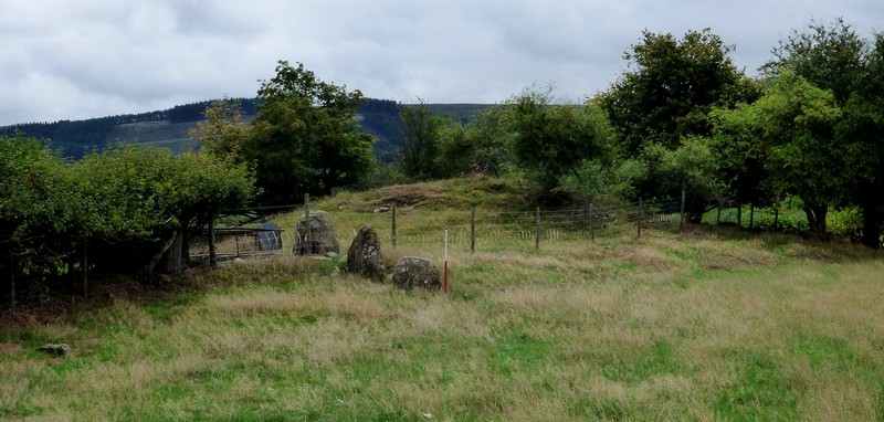 View of “long cairn” and stones from the north (Scale 1m).