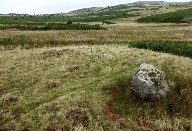 View from above and south west (Scale 1m). The large stone in the foreground sits within a substantial hollow.  It is unlikely that this has been formed by animal poaching and is much more likely to have been the result of deliberate exposure of the lower parts of this rock when the row was being built.  The same happened at Carreg Llwyd where the southern stone had also been exposed.  The most pl